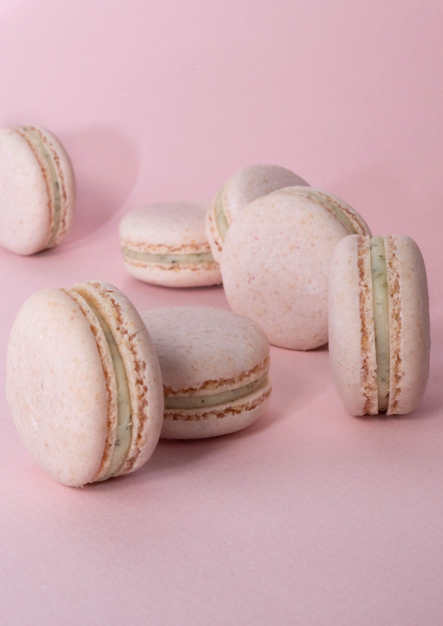 Macaron Végétal Basil and Raspberry