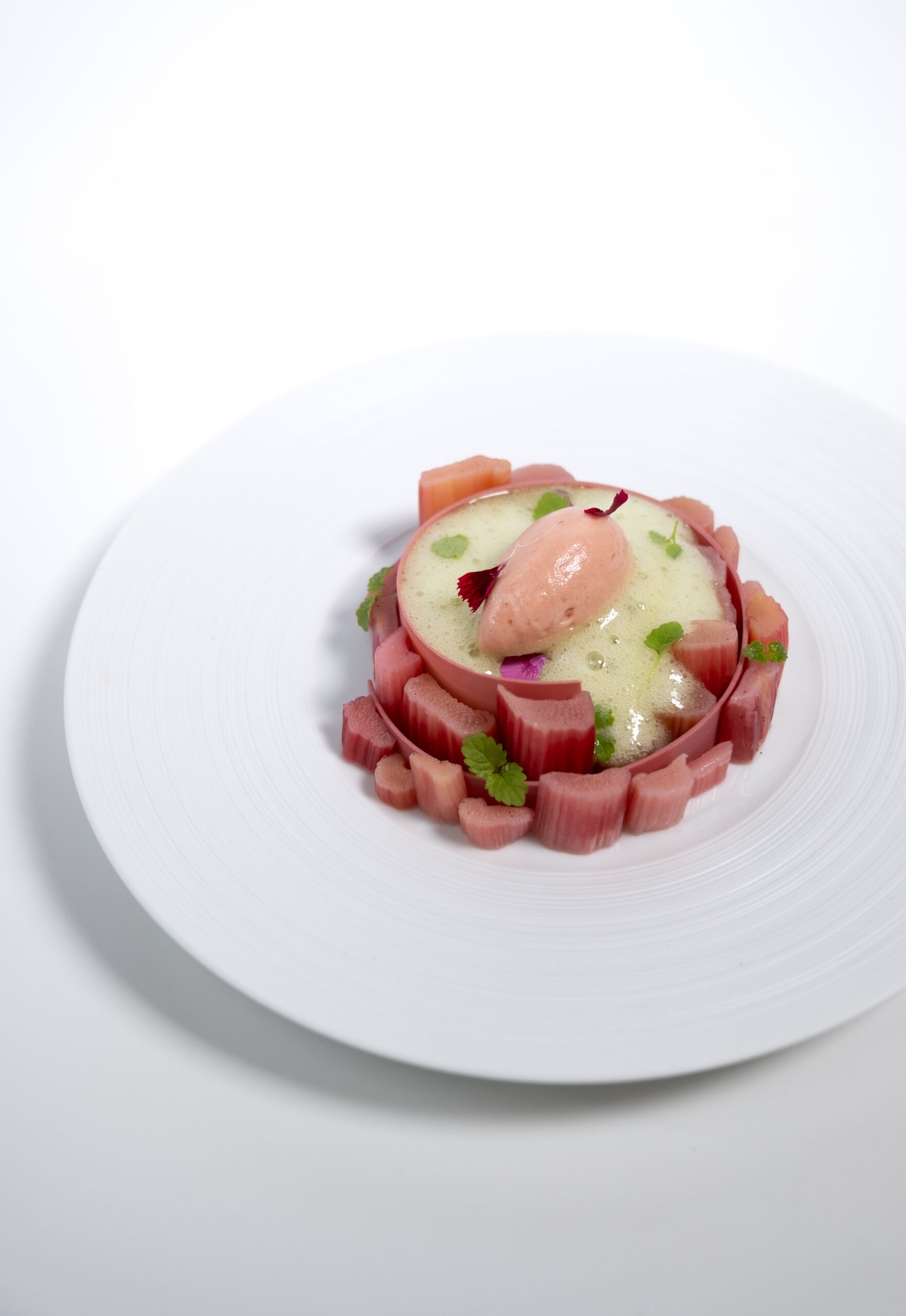 Aneth, Rhubarbe et Groseille