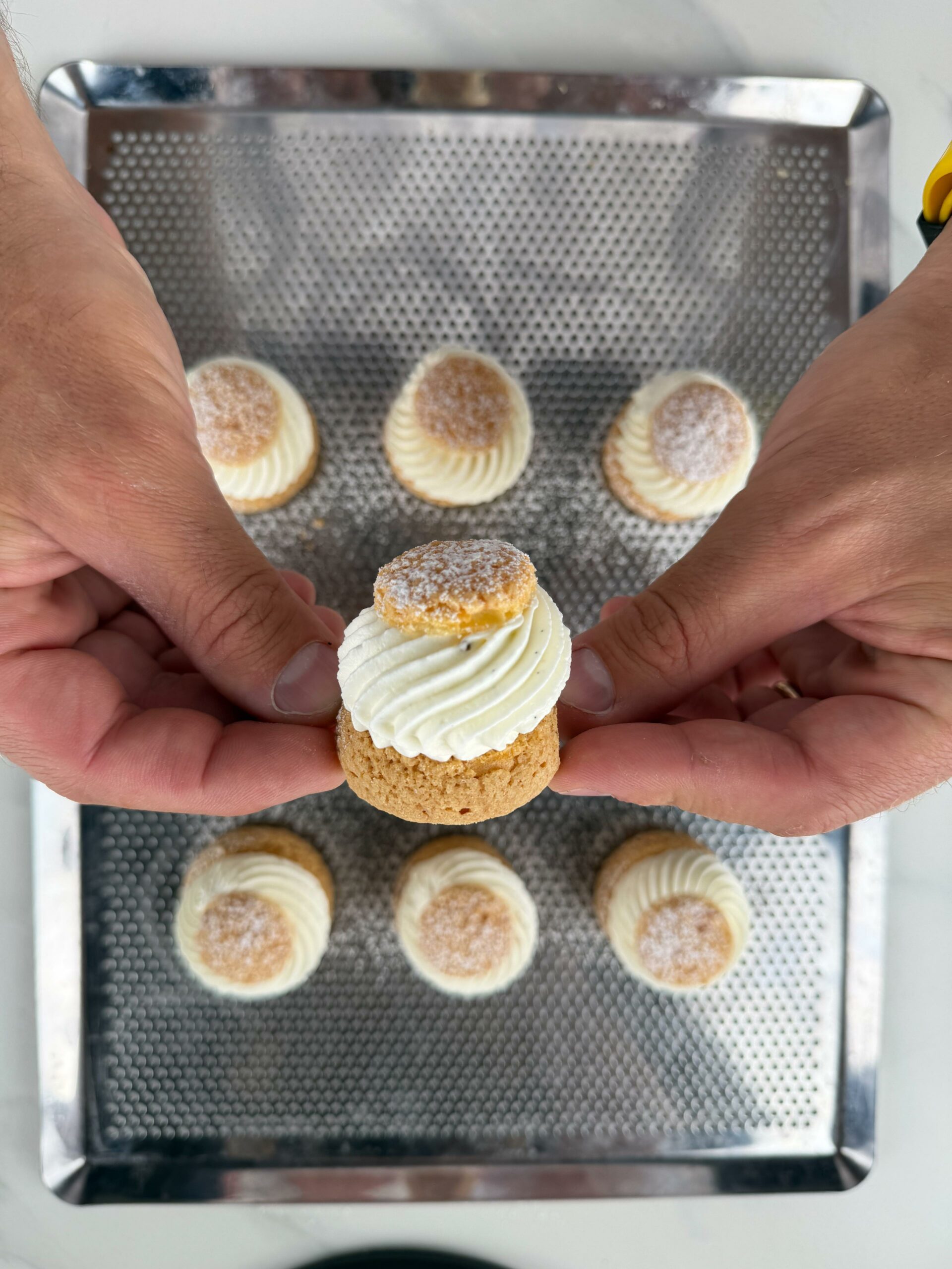 Choux Chantilly Vanille
